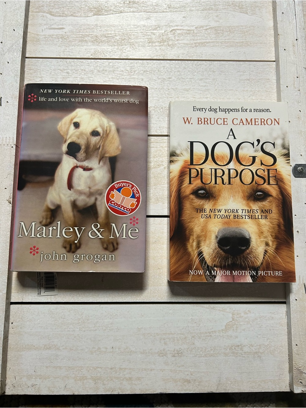 Marley & Me by John Grogan - A dog’s purpose books